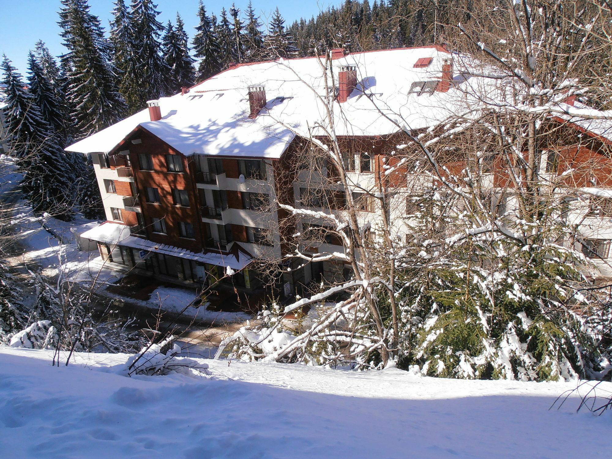 Royal House Apartments Tmf Pamporovo Exterior foto